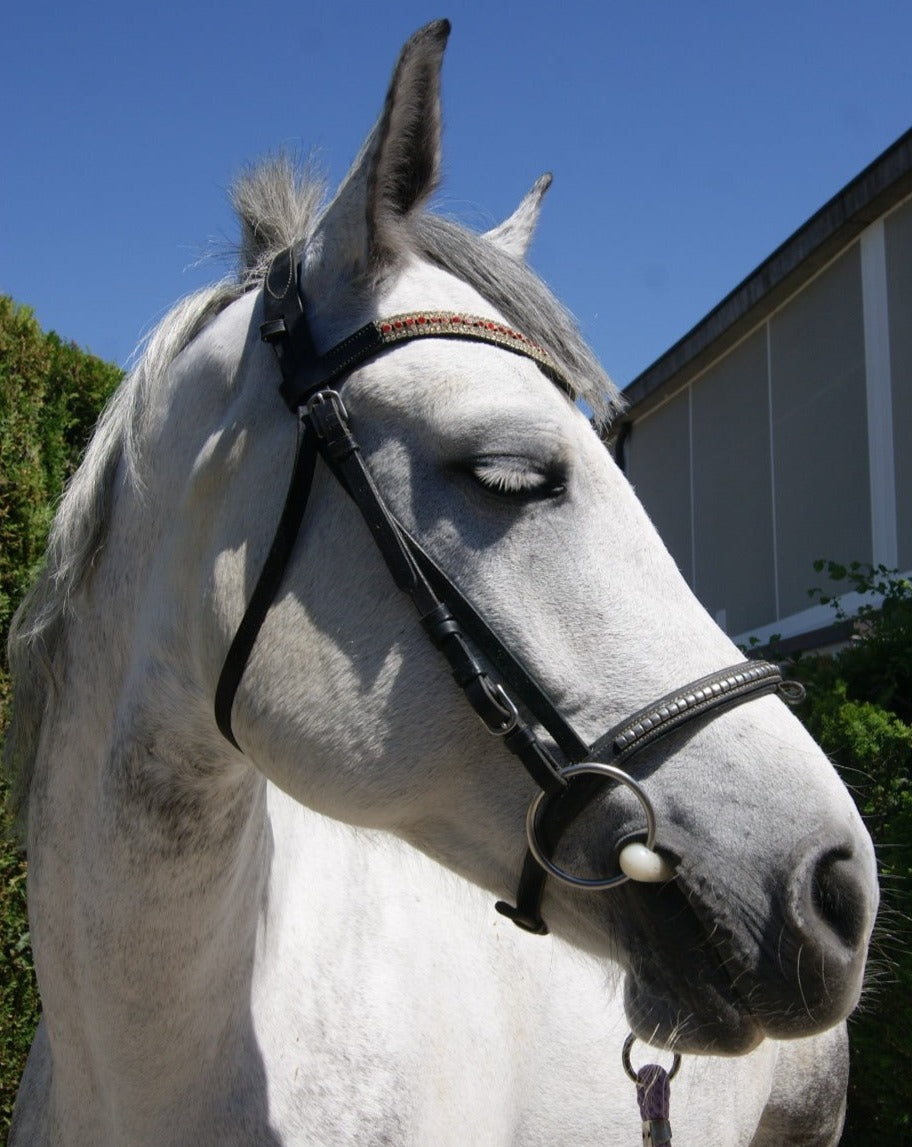 10 Sellette/conchiglie Per Cavallo In Metallo Antico Argento Turchese – Floreale 35x28 Mm