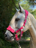 Set Capezza+Lunghina Fucsia
