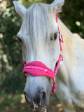 Set Capezza+Lunghina Fucsia